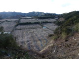 img0036.jpg
