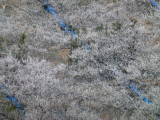 img0038.jpg