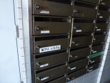 img0025.jpg