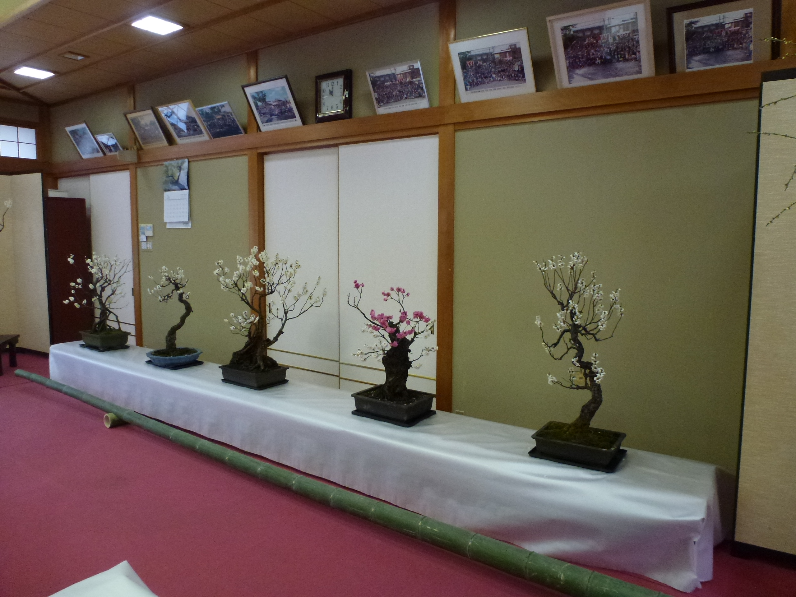 P1090804.JPG