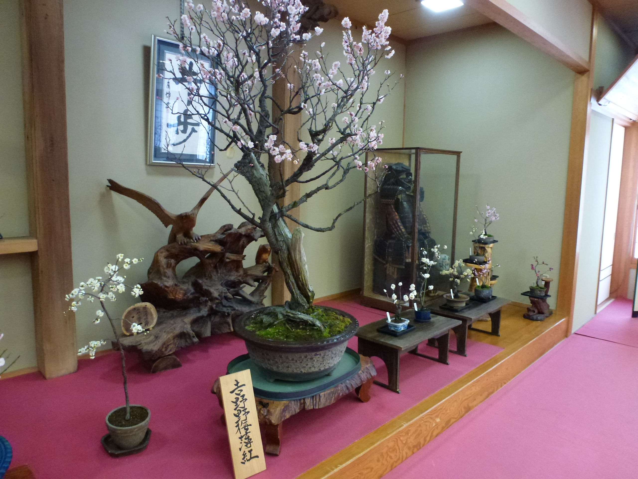 P1090806.JPG
