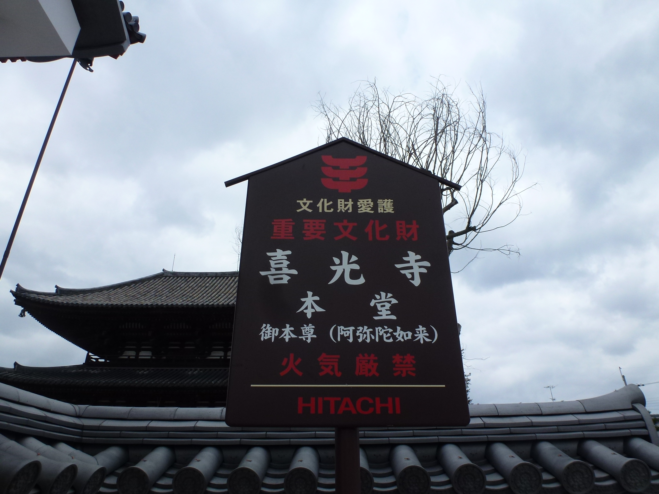 P1090817.JPG