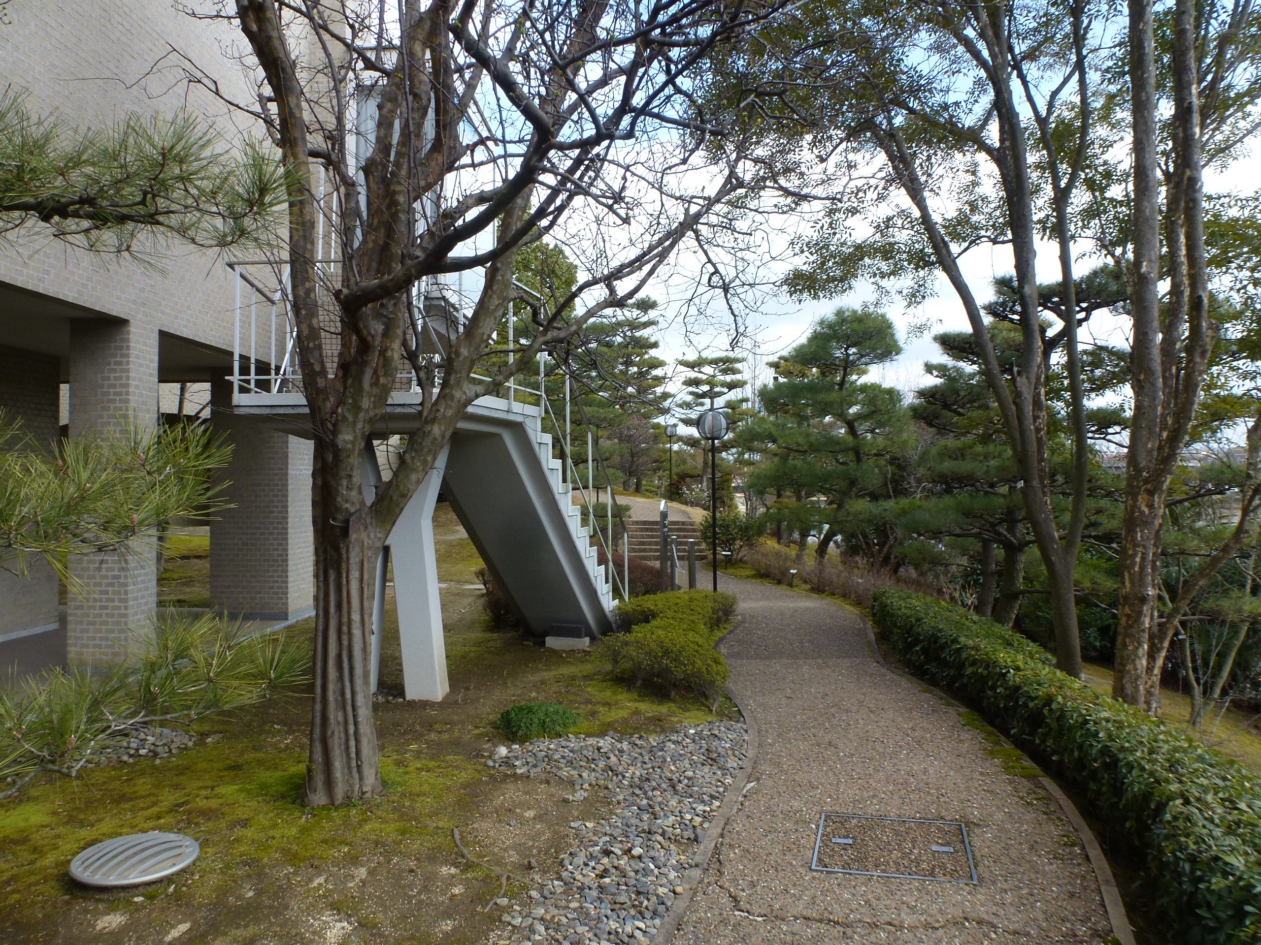 P1090829.JPG
