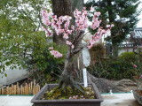 img0005.jpg