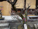 img0006.jpg