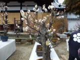 img0008.jpg