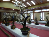 img0012.jpg