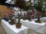 img0019.jpg