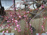 img0021.jpg