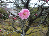 img0036.jpg