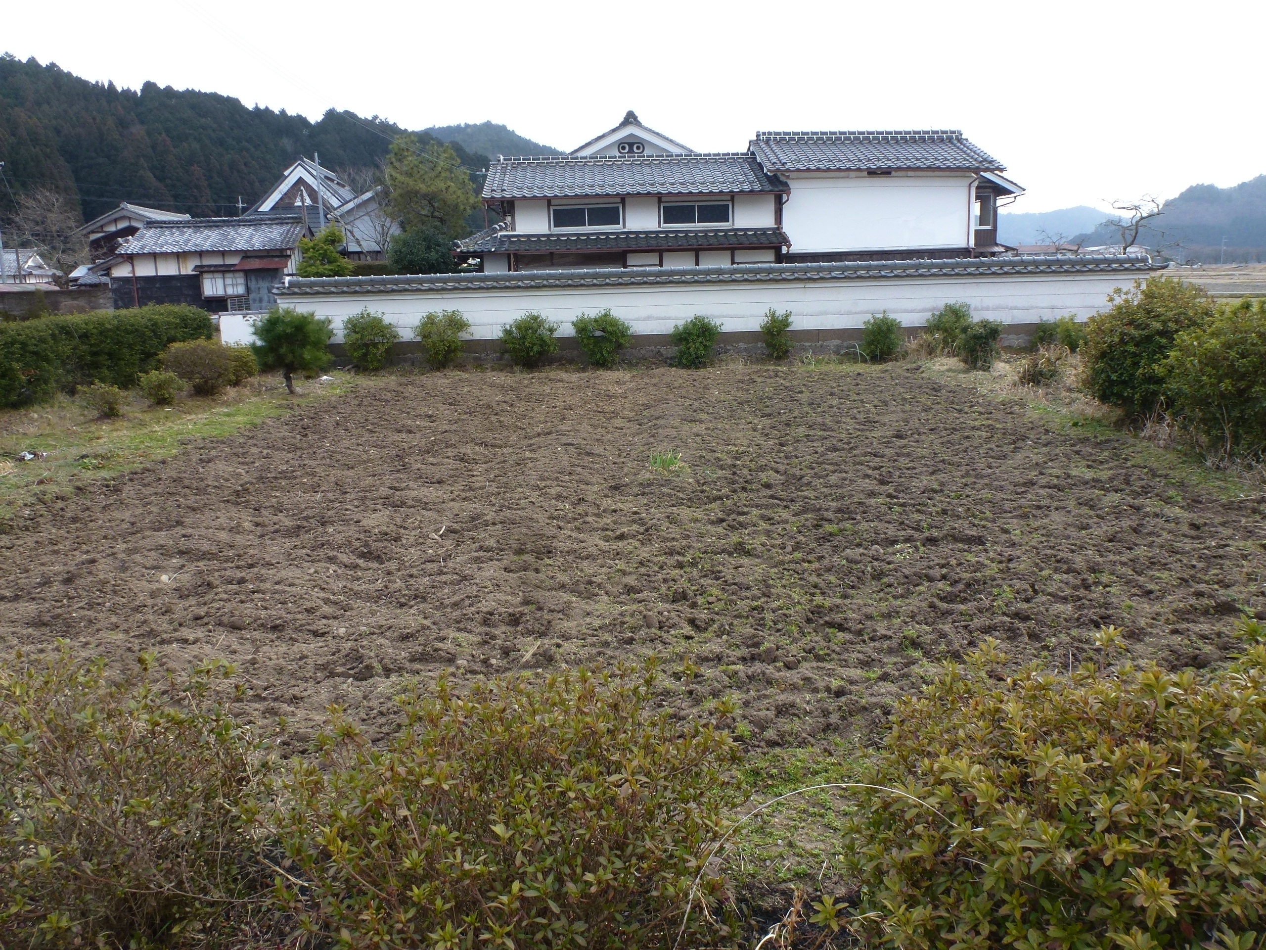 P1090866.JPG