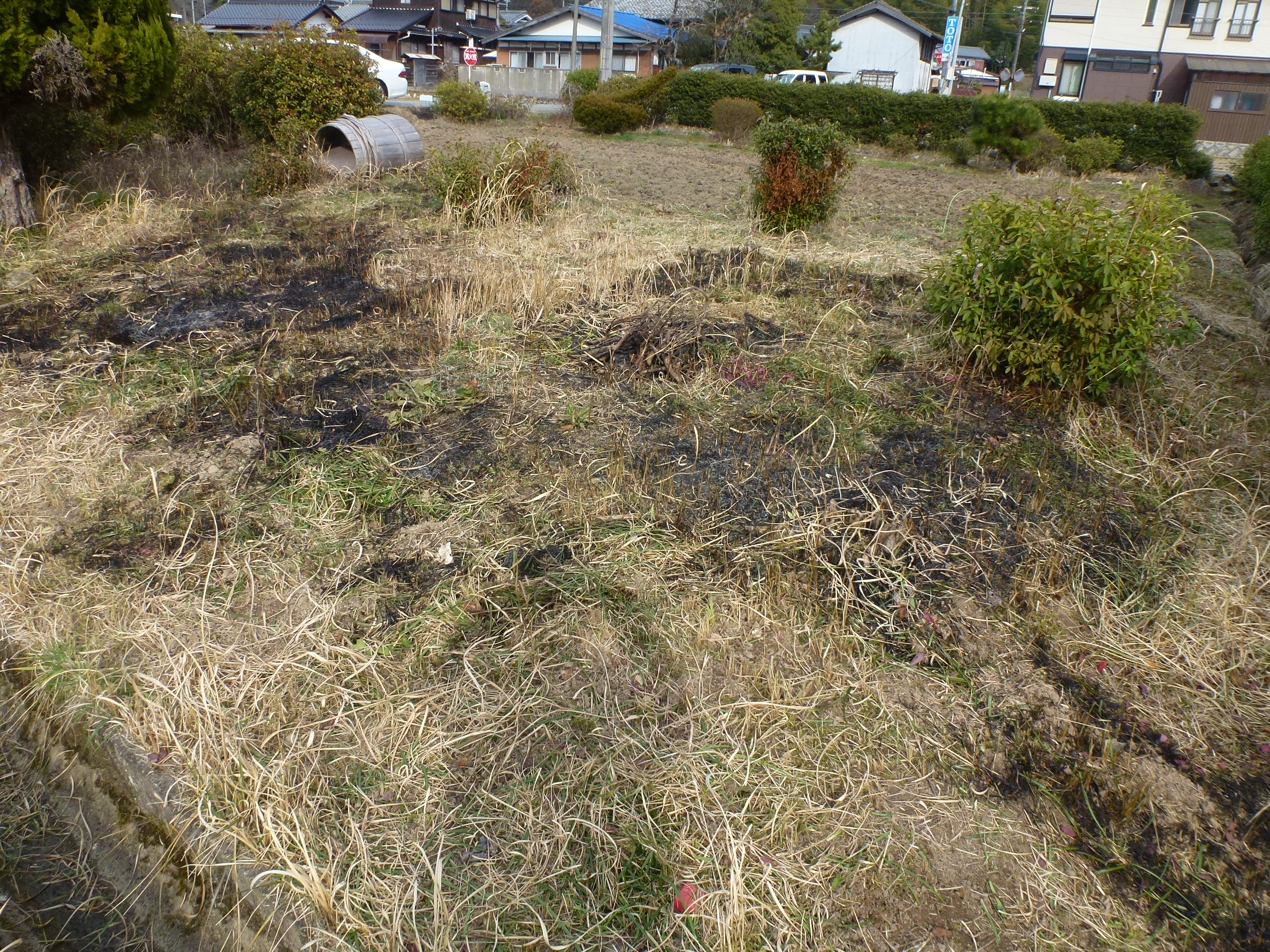 P1090869.JPG