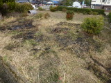 img0009.jpg