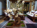 img0015.jpg