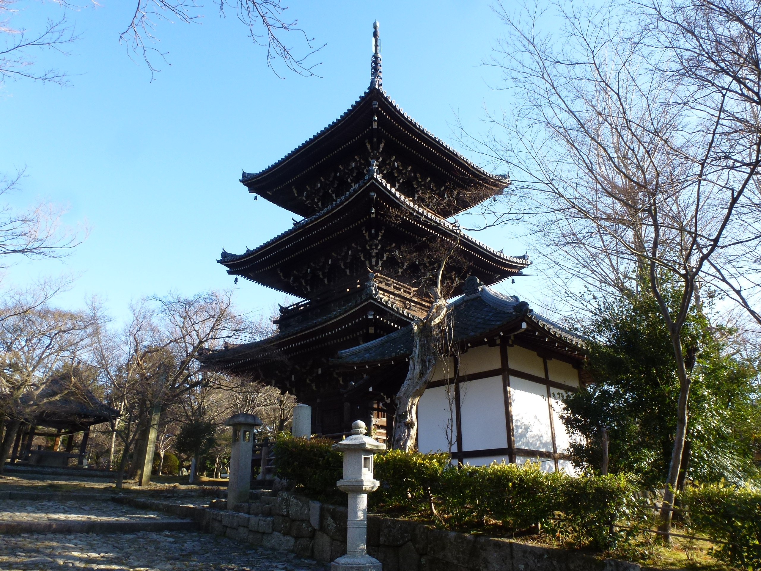 P1090915.JPG