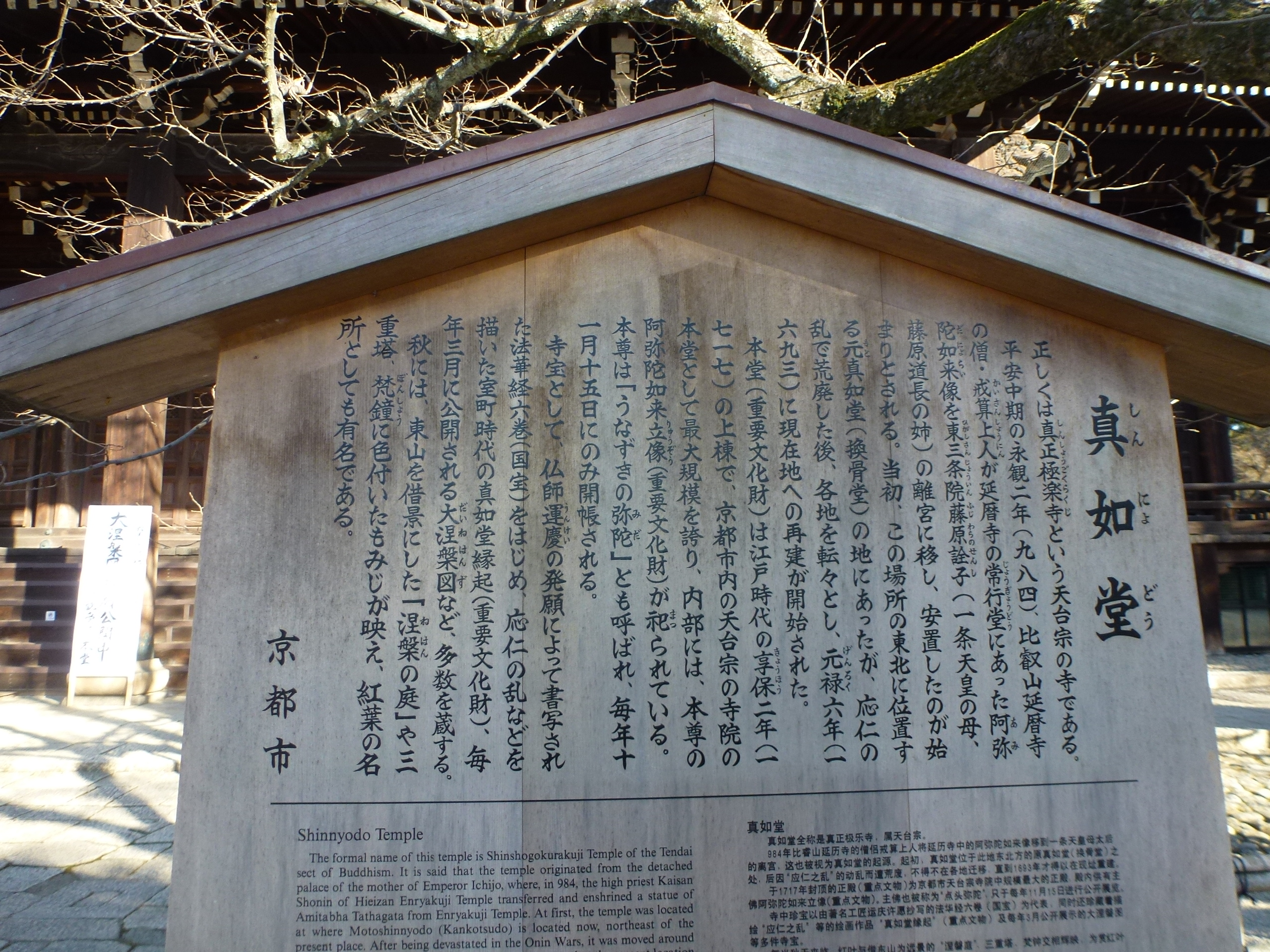 P1090917.JPG