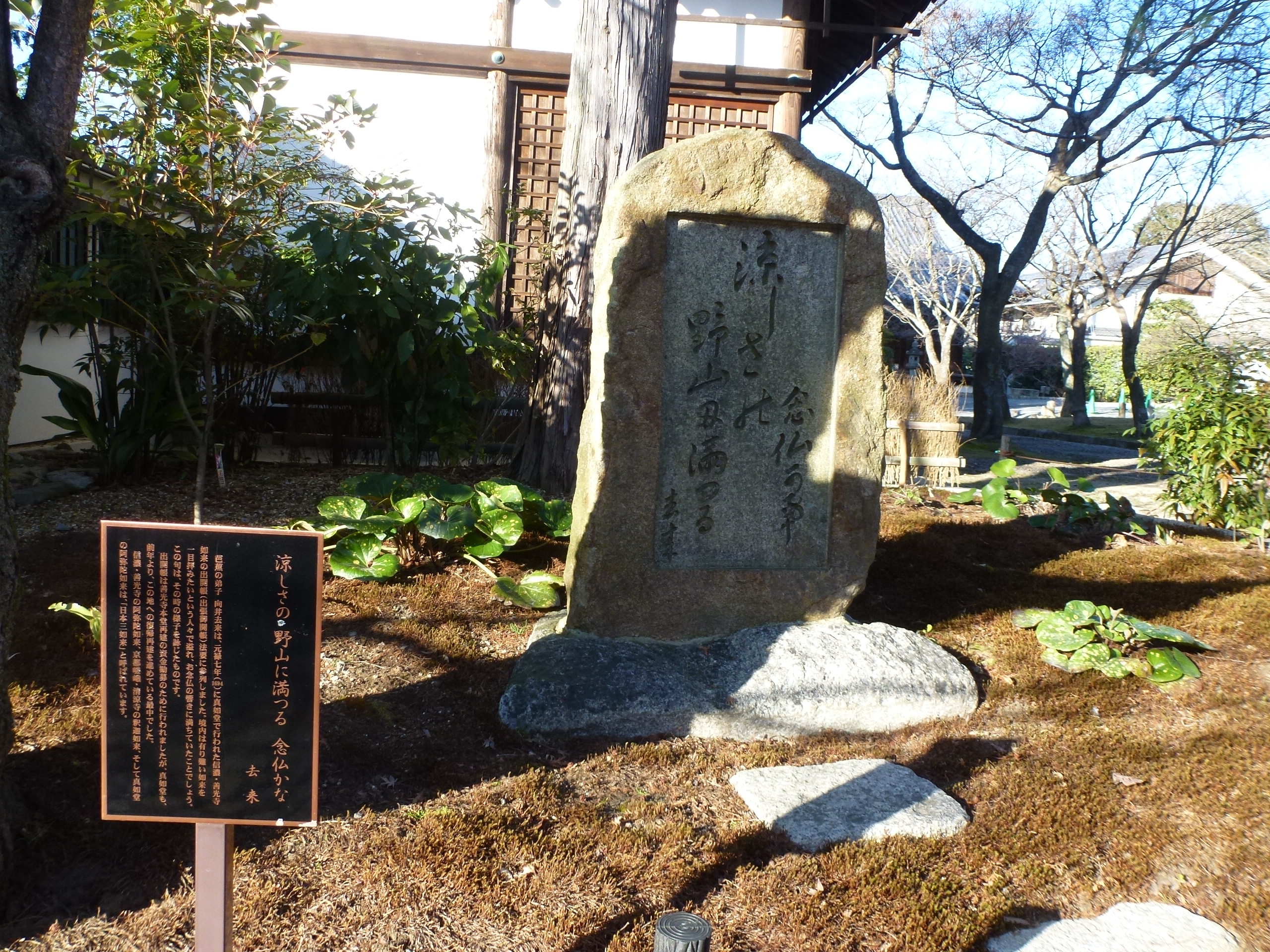 P1090919.JPG
