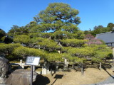 img0014.jpg