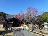 img0015.jpg