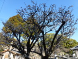 img0016.jpg