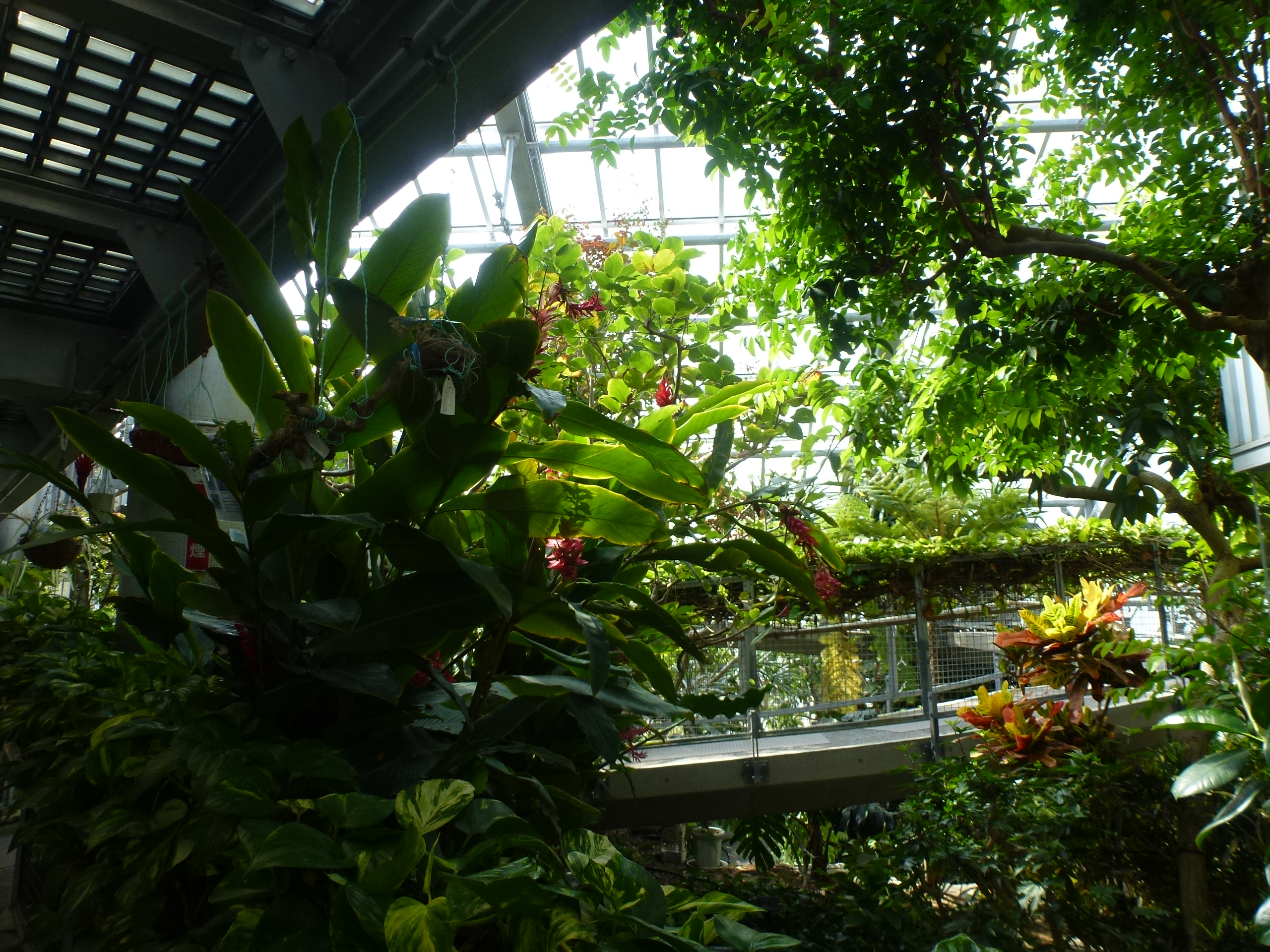 P1090953.JPG