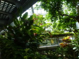 img0001.jpg