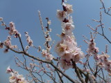 img0007.jpg
