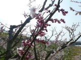 img0014.jpg