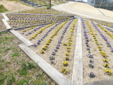 img0016.jpg