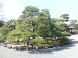 img0002.jpg