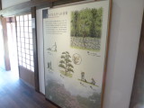 img0010.jpg