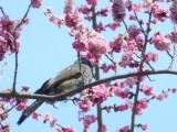 img0014.jpg