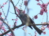 img0016.jpg