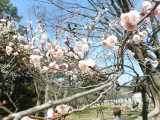 img0018.jpg
