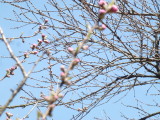 img0020.jpg