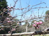 img0021.jpg