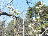 img0022.jpg