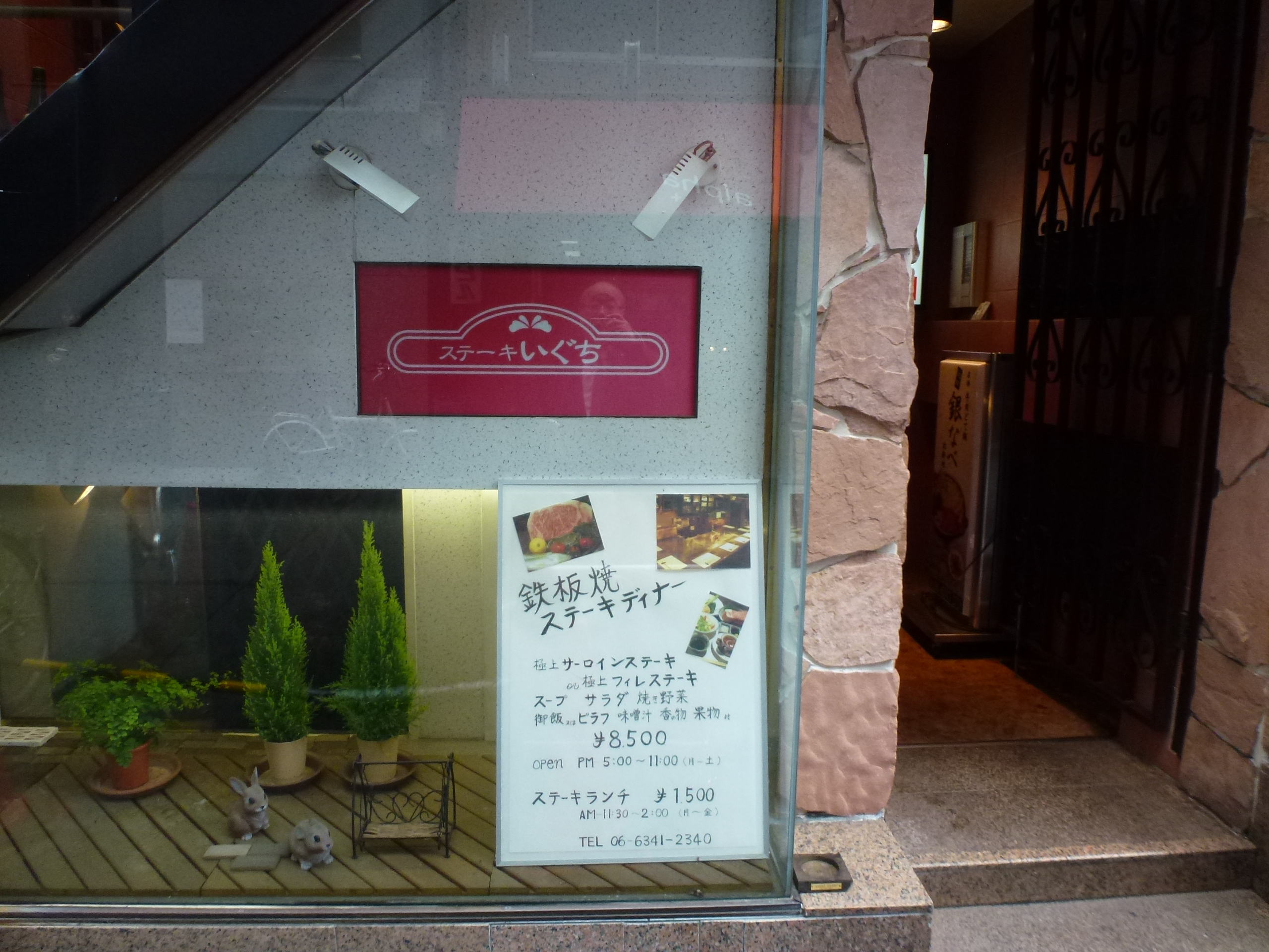 P1100009.JPG