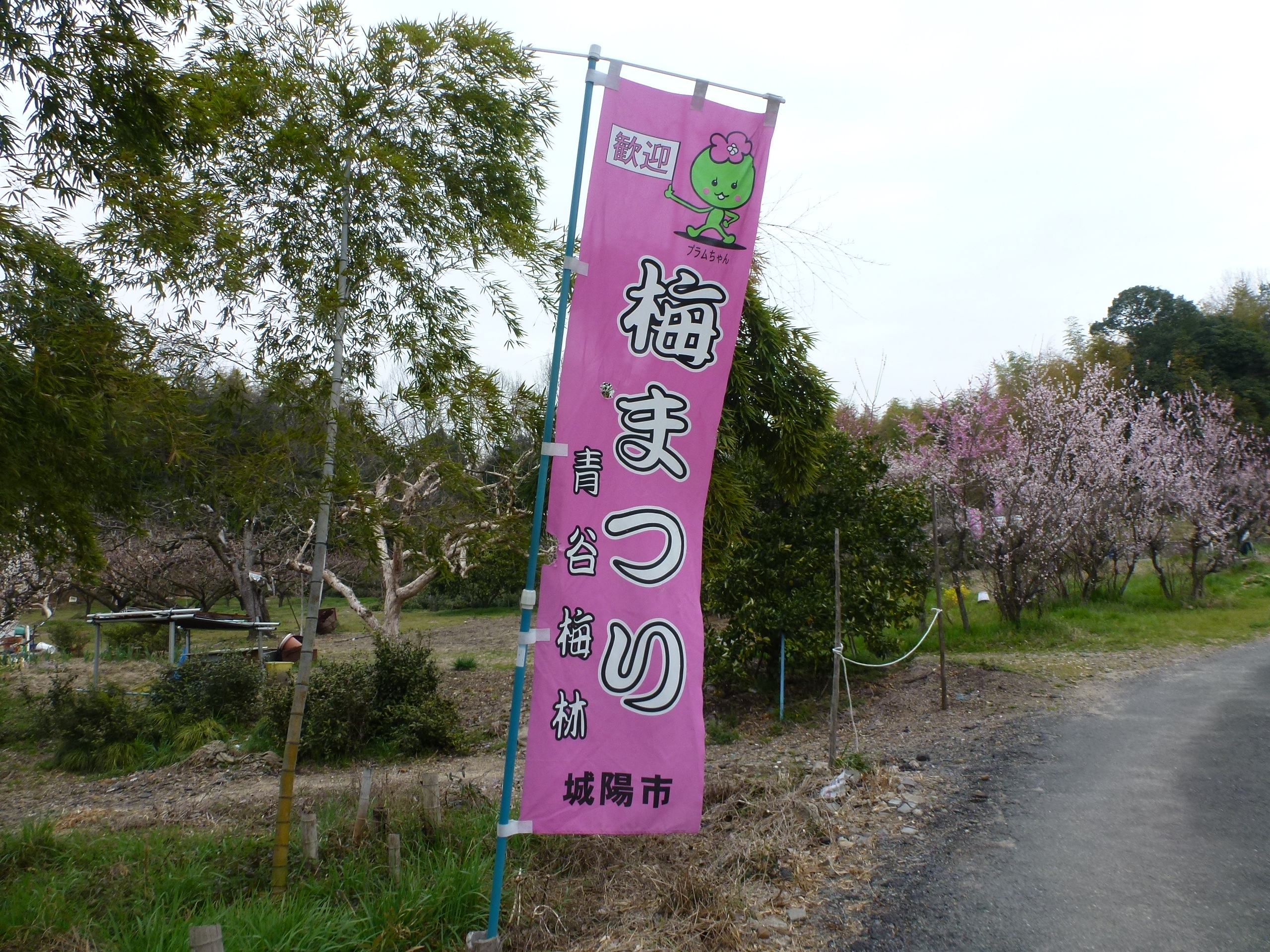 P1100015.JPG
