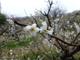 img0014.jpg