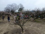 img0015.jpg