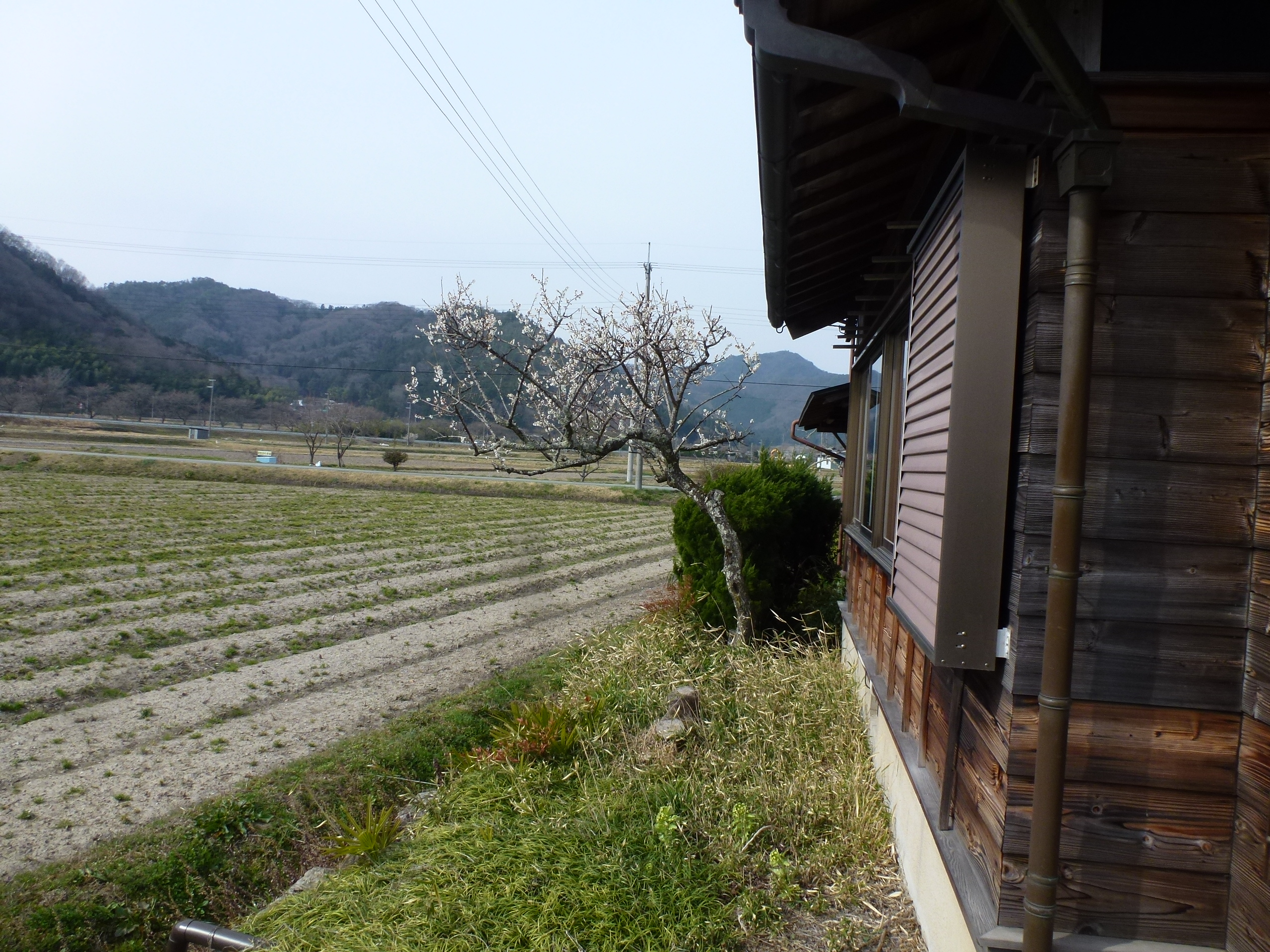 P1100131.JPG