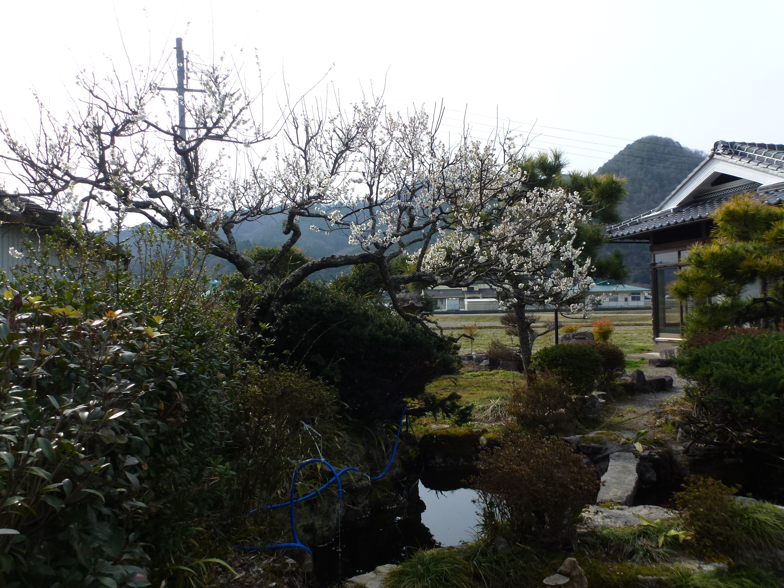 P1100136.JPG