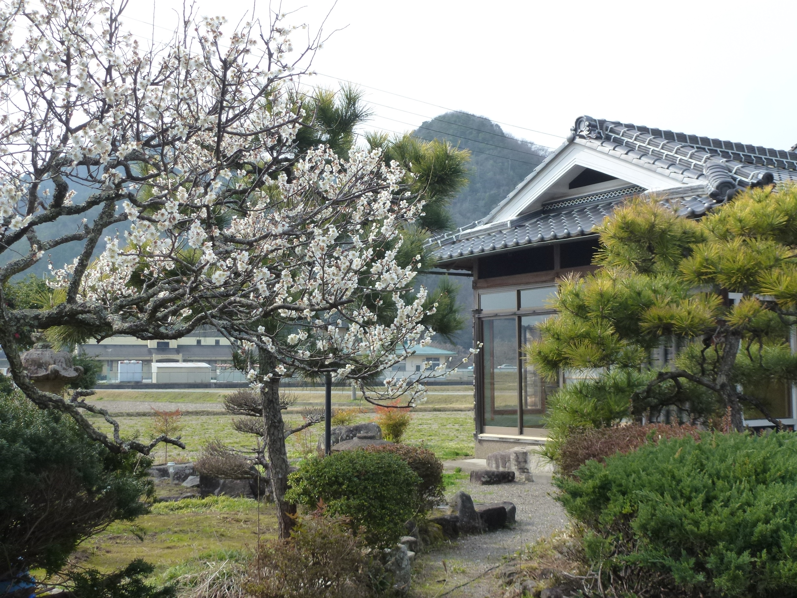 P1100137.JPG