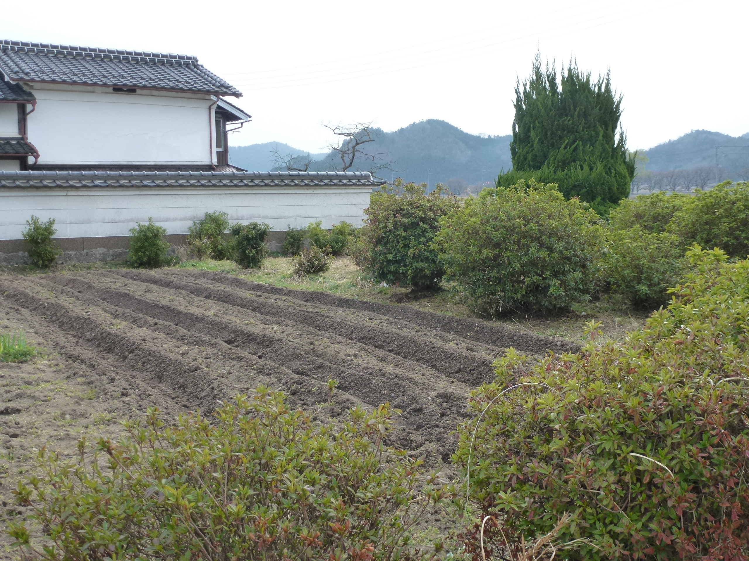 P1100144.JPG