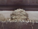 img0000.jpg