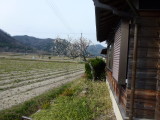 img0002.jpg