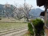 img0003.jpg