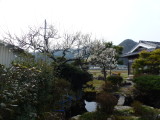img0006.jpg