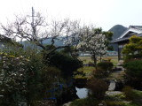img0007.jpg